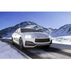 Philips 12342WVUB1 Ampoule Halogène WhiteVision, WhiteVision Effet Xénon H4 60/55 W 12 V - Blanc Froid -PHILIPS Soldes 12380856 3