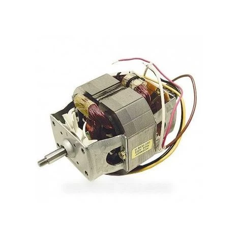 Moteur 230 V Pour Petit Electromenager PHILIPS 3 Moteur 230 V Pour Petit Electromenager PHILIPS