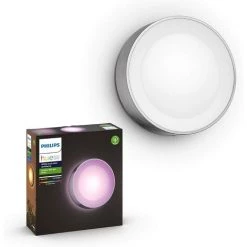 Philips Hue White & Color Ambiance DAYLO, Applique Murale Extérieure, Inox, Fonctionne Avec Alexa, Google Assistant Et Apple Homekit