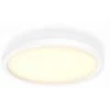 Philips Hue White Ambiance AURELLE Panneau LED Ø 39.5 Cm 28W - Blanc (télécommete Incluse), Fonctionne Avec Alexa, Google Assistant Et Apple Homekit