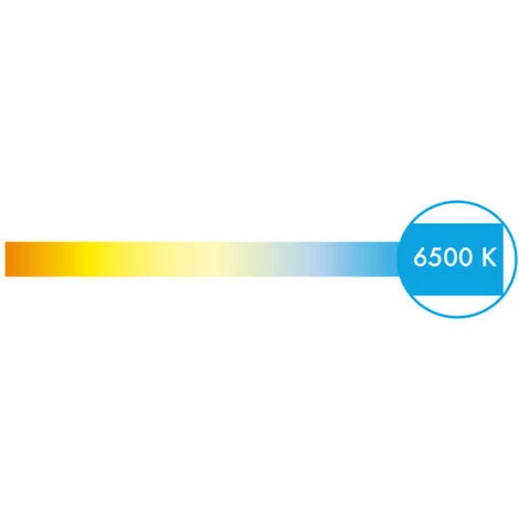Ampoule LED Standard PHILIPS - EyeComfort - 13W - 2000 Lumens - 6500K - E27 - 93005 - Blanc 5 Ampoule LED Standard PHILIPS - EyeComfort - 13W - 2000 Lumens - 6500K - E27 - 93005 - Blanc – Image 3