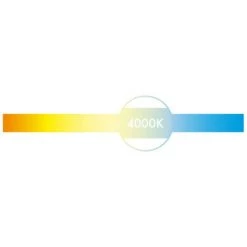 Ampoule LED Spot PHILIPS - EyeComfort - 4,6W - 390 Lumens - 4000K - GU10 - 93025 -PHILIPS Soldes 45682977 3