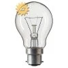 Ampoule A Incandescence B22 A55 60W 230 Volts - Philips 356017