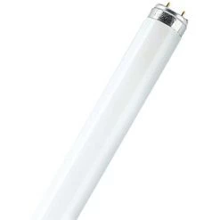 PHILIPS  Tube Fluorescent Philips - TL 33-640 HQ G5 - Qualite Superieure - Coolwhite - 6W