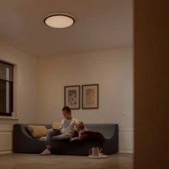 Plafonnier Philips LED Cavanal Sceneswitch Blanc 2700K 18W - Blanc -PHILIPS Soldes 52185106 5