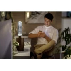 LED Philips Lighting Vintage LED T65 Stablampe 871951431541900 E27 N/A Puissance: 6.5 W Blanc Chaud N/A -PHILIPS Soldes 52475613 2