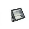 Led Floodlight Bvp106 Philips 38406799-100w 4000k