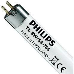 Philips T5 Short 8W - 765 Lumière Du Jour | 29cm