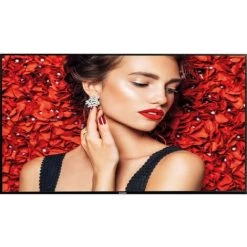 PHILIPS  Philips PHILIPS Afficheur Professionnel 50" 50BDL4510D/00 UHD 24/7 (50BDL4510D/00)