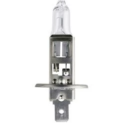 Ampoule Halogène Philips 36196430 Longlife H1 55 W 1 Pc(s) - Clair