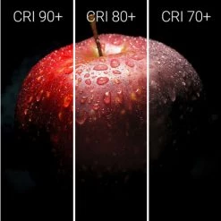 PHILIPS Ampoule LED GU5.3 MR16 Dimmable 12V CRI 92 ExpertColor 7.5W 36º Black Blanc Neutre 4000K - Blanc Neutre 4000K -PHILIPS Soldes 6599637 2