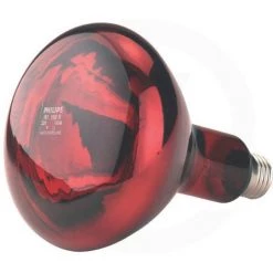 PHILIPS Ampoule Chauffante - Infrarouge - 250 W - Universel