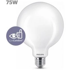 Ampoule LED Globe Philips Blanc Chaud 8,5W E27