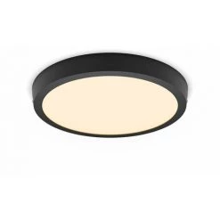 Philips - Functional Magneos Surface Mount Round Slim Spot Encastré Rond, Noir, 3x29x29, 2700K, 1900 Lumen